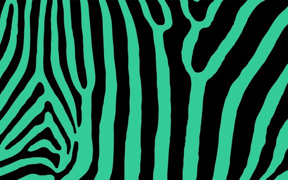 Zebra Animal Print Colored
