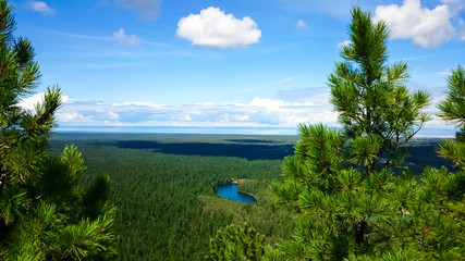  Top view of the forest and lake. Panoramic view. Baikal, Russia.