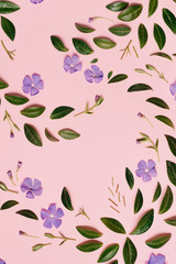 Flowers composition. Purple flowers and green little leaves represented over pink background separately. Many little leaves for decorating any celebration card. Flat lay, top view, copy space