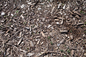 background of wood chips on the ground