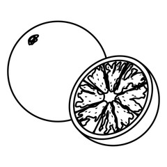 orange icon cartoon black and white