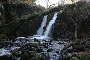 Fototapeta premium Bliźniaczy wodospad - Park Narodowy Dartmoor