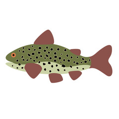 Spotted fish flat illustration