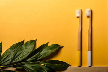 yellow and white colours bamboo toothbrushes on yellow background with tropical leaf. Place for...