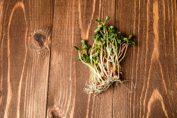 Young sprout microgreen isolated with shadow on wood background. Clipping path. - Image. radish