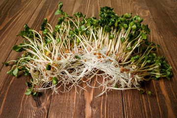 Young sprout microgreen isolated with shadow on wood background. Clipping path. - Image. radish