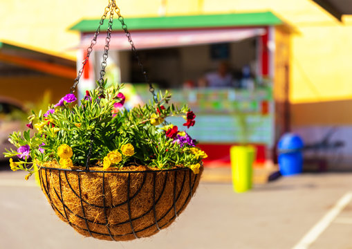 A food stall out of focus in the background with a hanging flowerpot and colorful flowers in the foreground