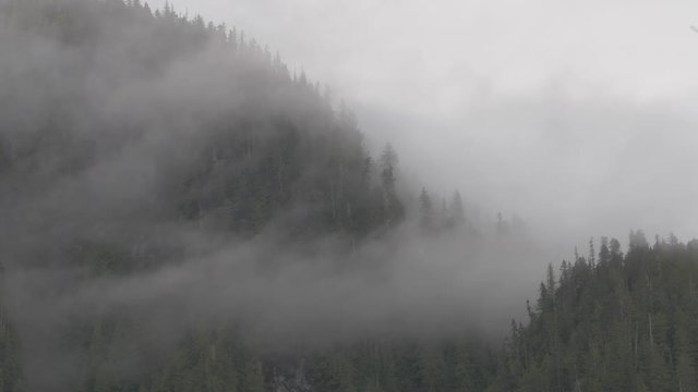 Close Up: Thin and Thick Fog Clouds Passing Through Forest Covered Hills in Bella Coola, British Columbia