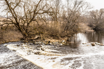 the flow of water with the reflection of trees, a river with stones and trees without foliage, cloudy day in early spring