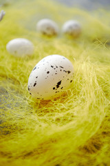 White Easter eggs with freckles placed on the yellow hay.