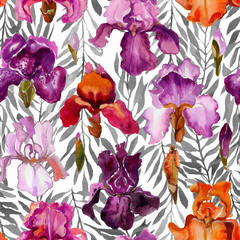 Iris watercolor seamless pattern. Purple flowers and leaves pattern. Pink, orange,yellow and purple irises flowers pattern on white background with foliage background