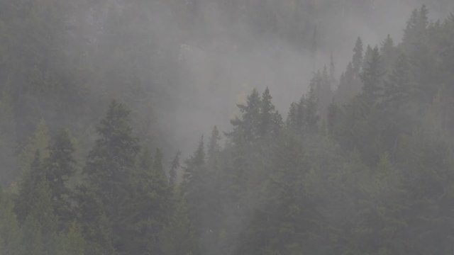 Close Up: Thin Fog Quickly Passing By Pointy-Topped, Forest-Covered Hills in Bella Coola, British Columbia