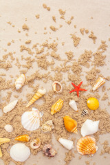 Seashells sandy summer background. Lots of different seashells piled together, copy space, top view.