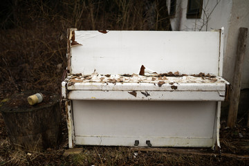 Old vintage white piano in a forest