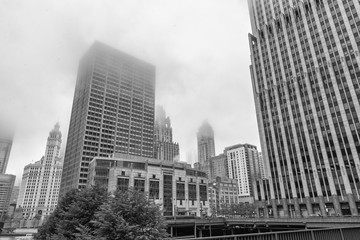 Skyscrapers of Chicago in the fog