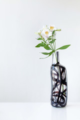 Tall white alstroemeria in glass vase on table with white background. Elegant simple design with...