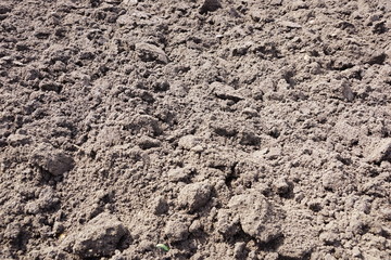 plowed spring earth texture background