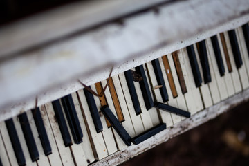 Old vintage white piano in a forest