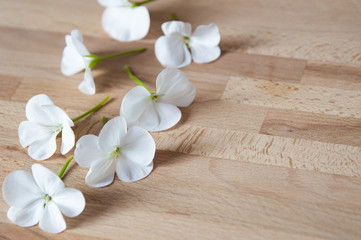 Fototapeta na wymiar white flowers on bamboo mat