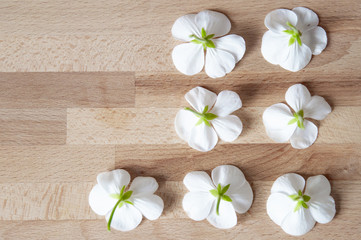 Fototapeta na wymiar white flowers on bamboo mat