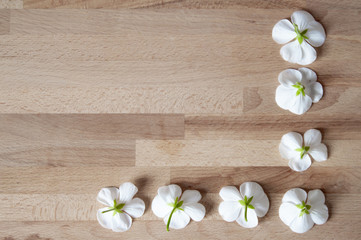 white flowers on wooden background
