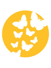 viele bunte schmetterlinge kreis rund sonne muster silhouette insekt flügel fliegen frühling schön hübsch logo design cool