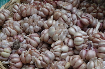 GARLIC