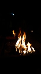 Bonfire