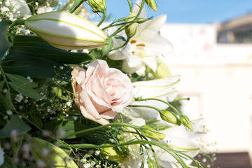 Flores
