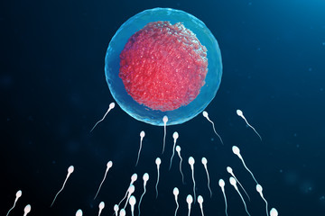 3D illustration sperm and egg cell, ovum. Sperm approaching egg cell. Native and natural fertilization. Conception the beginning of a new life. Ovum with red core under the microscope, movement sperm - obrazy, fototapety, plakaty