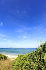 沖縄の美しいビーチ