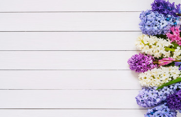 Hyacinth flowers border on white background. Top view, copy space. Greeting card.