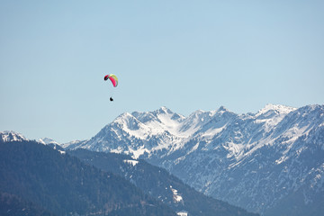 Paraglider flying over Bregenzerwald forest