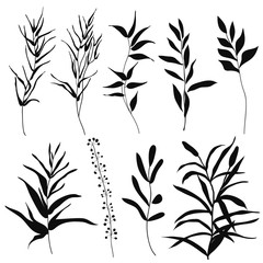 Naklejka premium Set silhouettes botanic elements. Branches with leaves, herbs, wild plants, trees. Garden and exotic, tropical collection leaf, foliage, branches. Vector illustration isolated on white background