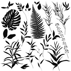 Big set silhouettes botanic elements. Branches, leaves, herbs, wild plants, trees. Garden and exotic, tropical collection leaf, foliage, branches. Vector illustration isolated on white background