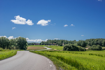 Winding road in a green landscape