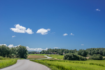 Winding road in a green landscape