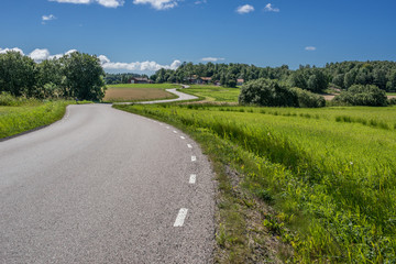 Winding road in a green landscape