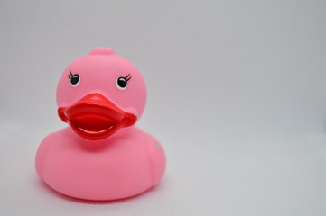 rubber duck on white background