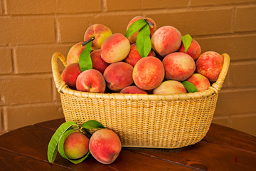 Summer Peaches in a Basket. Fresh from the orchard and ready to eat. Garden Bounty