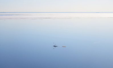 Fototapeta na wymiar Gulf of finland at sunny day.