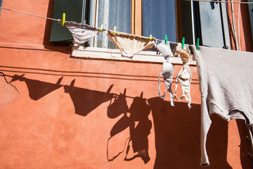 Female underwear ,bra hanging on a clothesline at home in Venice, Italy,2019