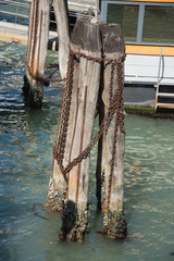 Fototapeta premium Wooden bricole ,wooden poles in the water, Venice, Italy,2019