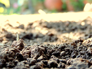 tierra seca