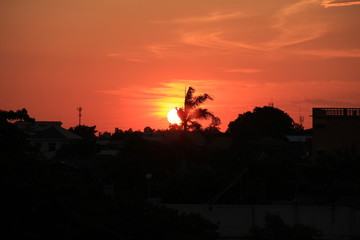 sunset in the city