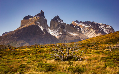 Patagonia in Chile. View from the Cuernos del Paine in the Torres del Paine National Park.