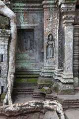Fototapeta premium Ta Prohm Temple ( Siem Reap region, Cambodia)