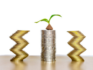 Isolated plant growing on coins stack white background, investments growing up and saving concept