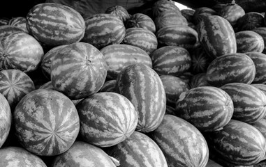 sandias en blanco y negro