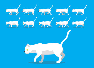 Animal Animation Sequence White Cat Cartoon Vector